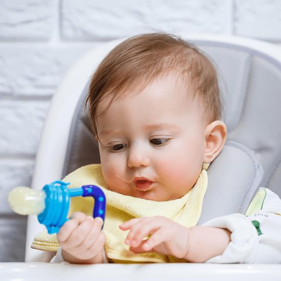 Grignoteuse bébé | Sécurifruit