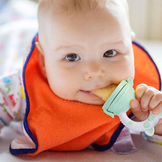 Grignoteuse bébé | Sécuri'Fruits