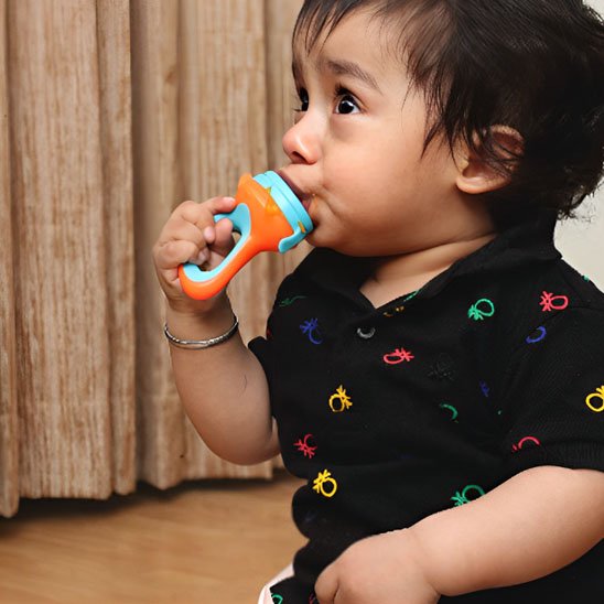grignoteuse bebe pour fruit 